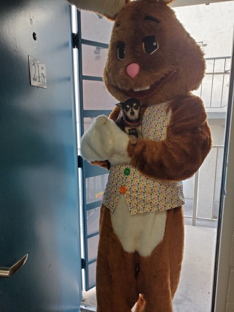 Easter Bunny holding a small dog in a doorway